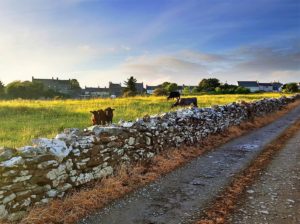 Irish sunset